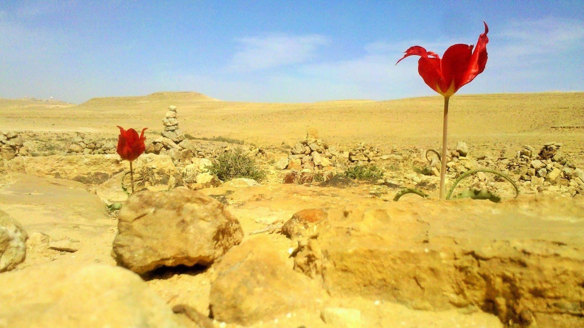 Hotel Silent Arrow Mitzpe Ramon Esterno foto